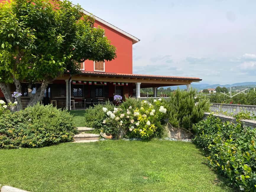 Experience Valpolicella: visit and tasting near Verona - Key Points