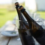 Experience Wine Break in Portugal - Who Should Consider This Experience?