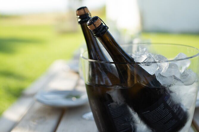 Experience Wine Break in Portugal - Who Should Consider This Experience?