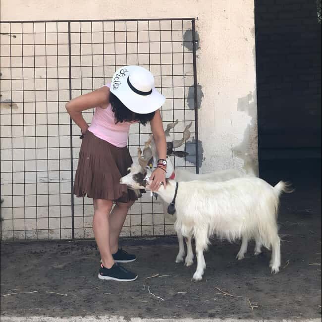 Experience with Girgentan goats in Agrigento - Who Should Consider This Tour?