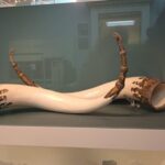 Expert Archaeologist Guided Tour of the British Museum - Why This Tour Might Be Worth It