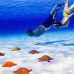 Exploration to El Cielo and Reefs: Live up close with stars - The Experience: What the Reviews Say