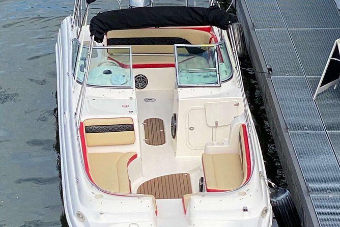 Explore Bird & Marine Wildlife private Boat Tour in English - The Itinerary Breakdown