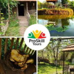 Explore Kutaisi: Full-Day Trip from Tbilisi - First Stop: Bagrati Cathedral