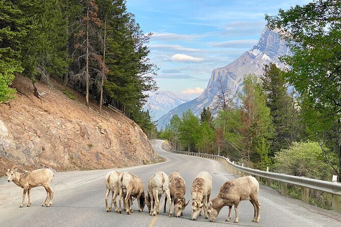 Explore Moraine Lake, Banff, Lake Louise & Minnewanka - What Travelers Are Saying