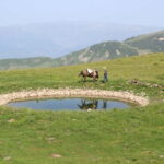 Explore Rabdisht: Guided Tour of the Stone Village - Discovering Rabdisht’s Unique Charm