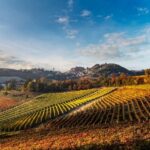 Explore & Savor: Dynamic Wine Tasting at Cantina Moscone - The Practicalities