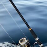 Explore Sesimbra Sports Fishing - Who Is This Tour Best For?