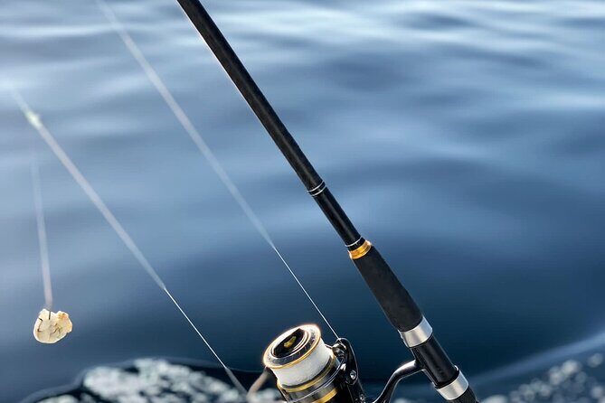 Explore Sesimbra Sports Fishing - Who Is This Tour Best For?