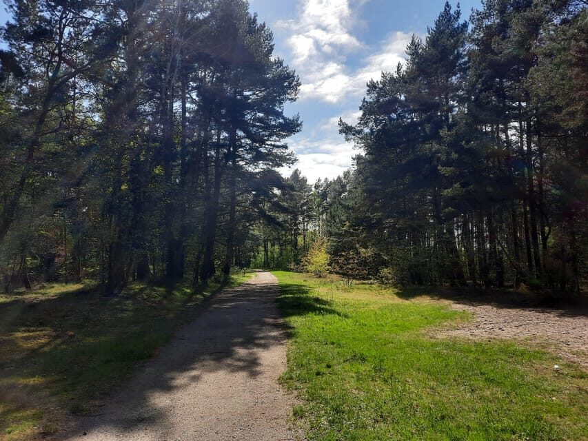 Explore Sobieszewo Island: Nature Walk & Wildlife Tour - Why This Tour Might Be Perfect for You