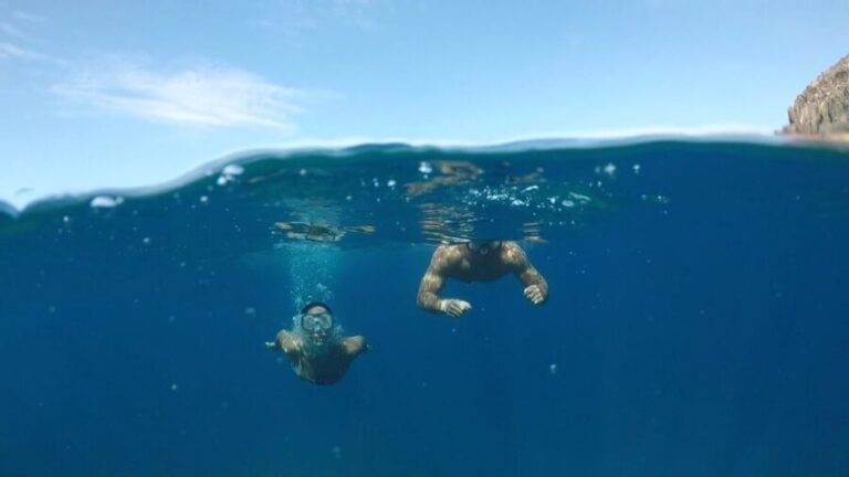 Explore Tenerife with the Snorkel Kit - The Practical Side: Price, Booking, and Accessibility