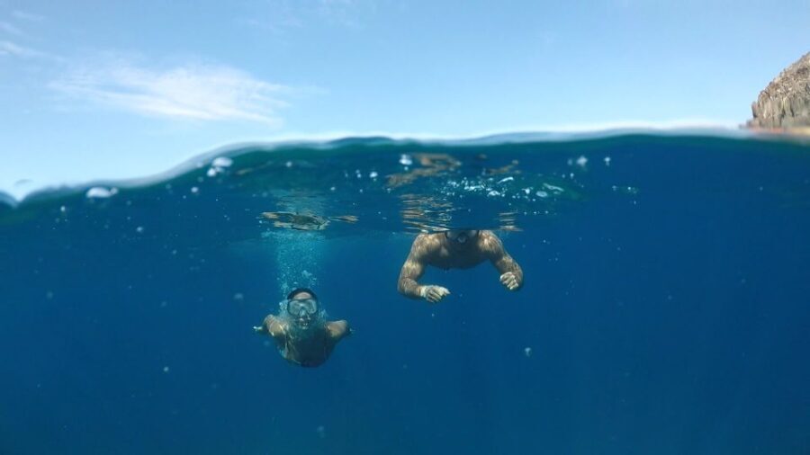 Explore Tenerife with the Snorkel Kit - The Practical Side: Price, Booking, and Accessibility