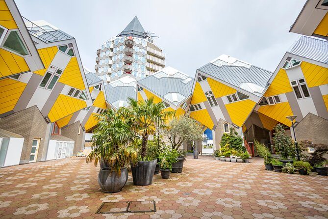 Explore the Instaworthy Spots of Rotterdam with a Local - A Deep Dive into the Rotterdam Photo Tour