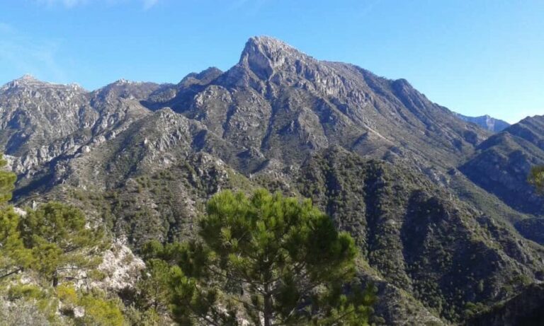 Explore the Nerja National Park nature in our open-top jeeps - What Makes This Tour Stand Out