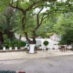 Explore the Secrets of Wine and Olives in Chania - A Deep Dive into the Experience