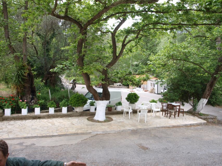 Explore the Secrets of Wine and Olives in Chania - A Deep Dive into the Experience