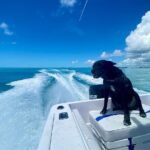 Explore the Waters of Key West - Snorkeling Equipment and Comfort
