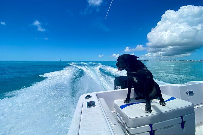 Explore the Waters of Key West - Snorkeling Equipment and Comfort