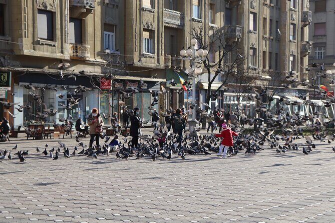 Explore Timisoara in 60 minutes with a Local - What Does the Tour Include and Exclude?