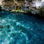 Explore Tulum and Dos Ojos Cenote with lunch and transportation - The Experience in Detail