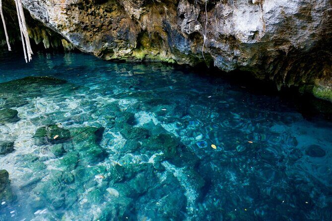 Explore Tulum and Dos Ojos Cenote with lunch and transportation - The Experience in Detail