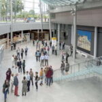 Explore Van Goghs Masterpieces: Sunflowers & The Bedroom - The Art and the Artist: Why This Tour Matters