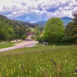 Exploring the Gutenstein Alps - What Travelers Say: Authentic Insights from Reviews