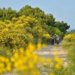 Exploring Vodice on Two Wheels - The Sum Up