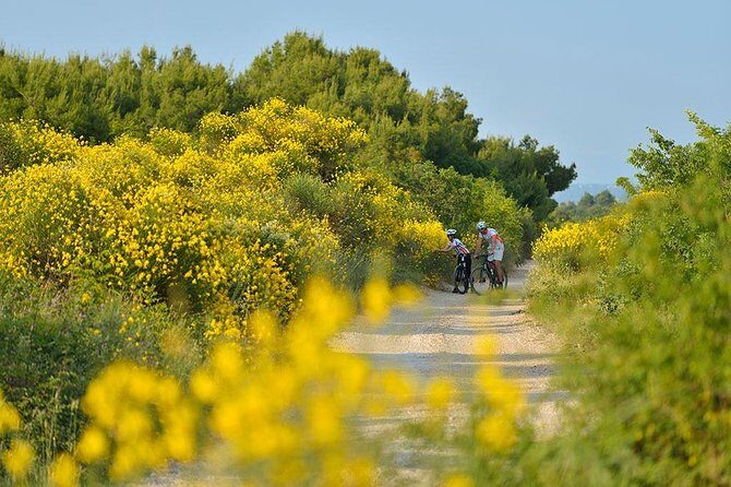 Exploring Vodice on Two Wheels - The Sum Up
