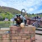 EXPRESS TOUR of Historic Heidelberg - The Highlights in 1 h - Who Should Consider This Tour?