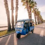 Express Tuk-Tuk Tour in Malaga: Gibralfaro Viewpoint and Photography - Gibralfaro: The Main Attraction