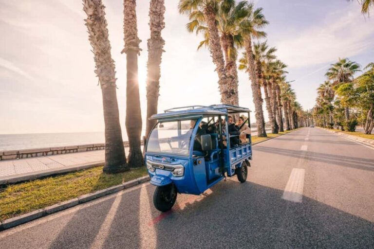 Express Tuk-Tuk Tour in Malaga: Gibralfaro Viewpoint and Photography - Gibralfaro: The Main Attraction