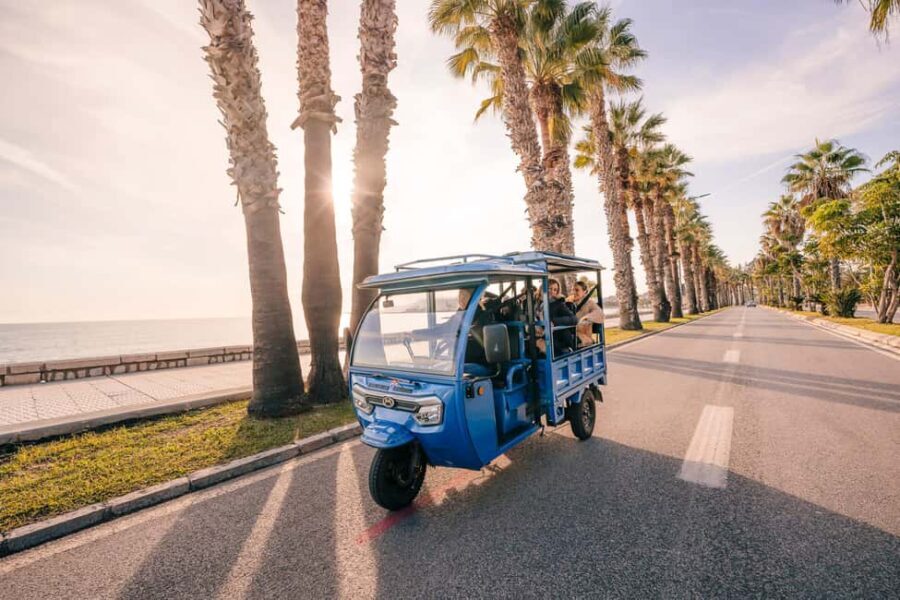 Express Tuk-Tuk Tour in Malaga: Gibralfaro Viewpoint and Photography - Gibralfaro: The Main Attraction