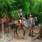 Express zips + Longest suspension bridge, ideal cruisers - Practical Details and Tips