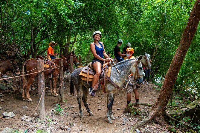 Express zips + Longest suspension bridge, ideal cruisers - Practical Details and Tips