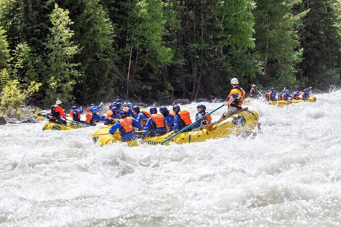Extreme Whitewater Rafting on Kicking Horse River - The Itinerary Breakdown