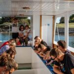 Faana: Glass Boat Tour of Brijuni National Park - What to Expect and Tips for Enjoying the Tour