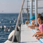 FAANA: PANORAMA NP BRIJUNI AND ISLAND SWIMMING STOP - The Itinerary: What You Can Expect