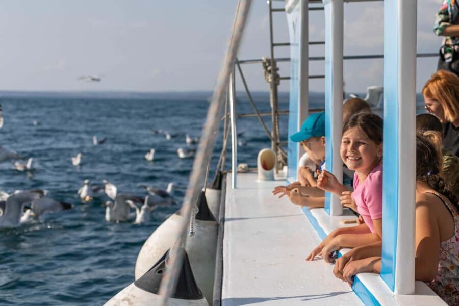 FAANA: PANORAMA NP BRIJUNI AND ISLAND SWIMMING STOP - The Itinerary: What You Can Expect