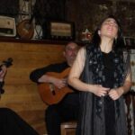 Fado Dinner Show and Night Lights Tour in Porto - Who Would Love This Tour?