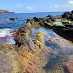 Faial Island Guided Eco Tour - The Experience Itself: What’s It Like?