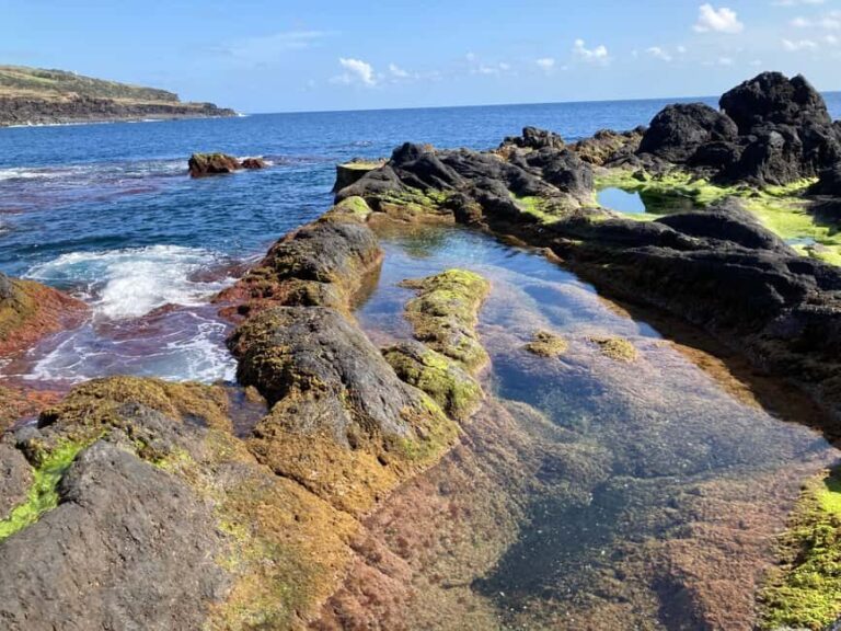 Faial Island Guided Eco Tour - The Experience Itself: What’s It Like?