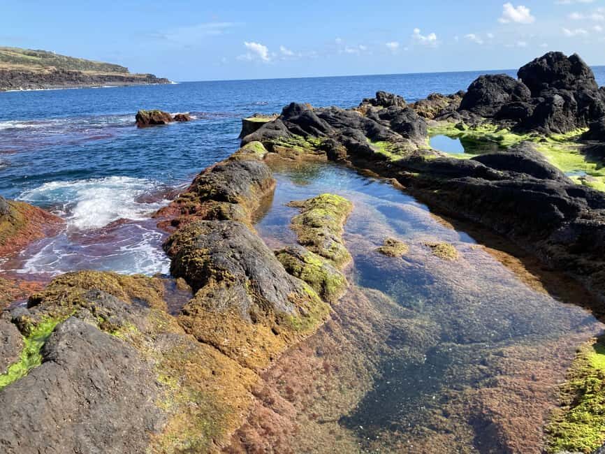 Faial Island Guided Eco Tour - The Experience Itself: What’s It Like?
