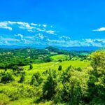 Fairytale Castle & Wine Tasting & Lunch - An Honest Look at the Cost & Value