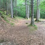 Fairytale Dunrobin Castle, Dornoch village, Million $ Viewpoint - The Sum Up