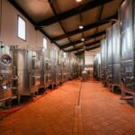 FAMIGLIA COTARELLA, NEAR ORVIETO WINE TASTE AND VISIT - Final Thoughts