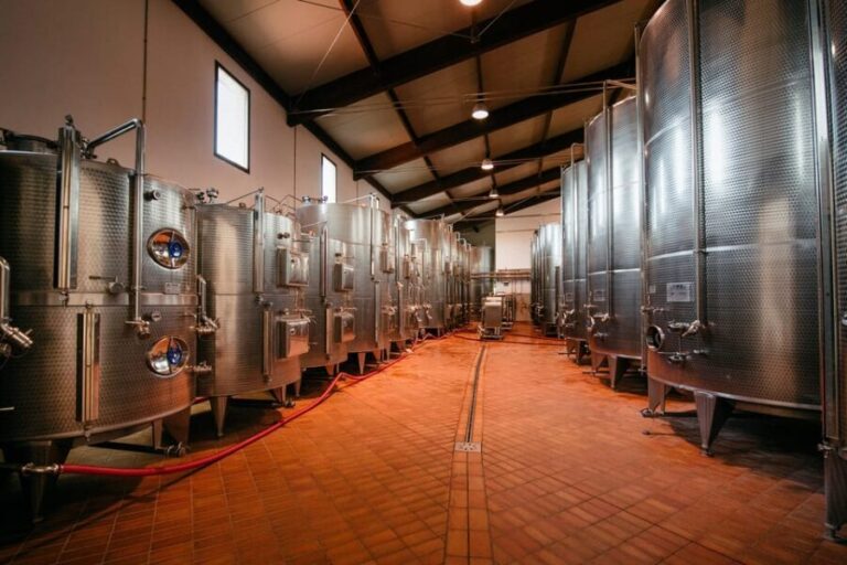 FAMIGLIA COTARELLA, NEAR ORVIETO WINE TASTE AND VISIT - Final Thoughts