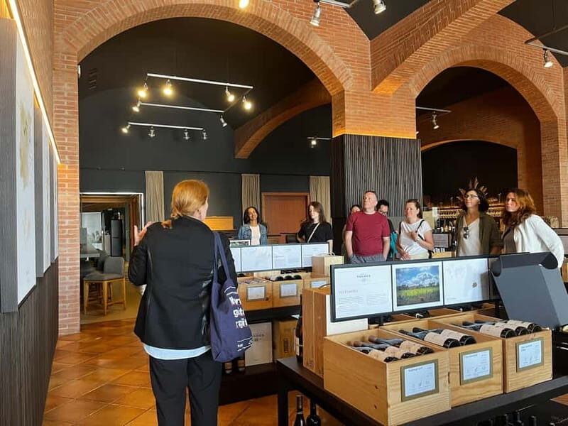 Familia Torres Winery: Gastronomic Tapas & Wine Experience - The Experience: What to Expect from Start to Finish