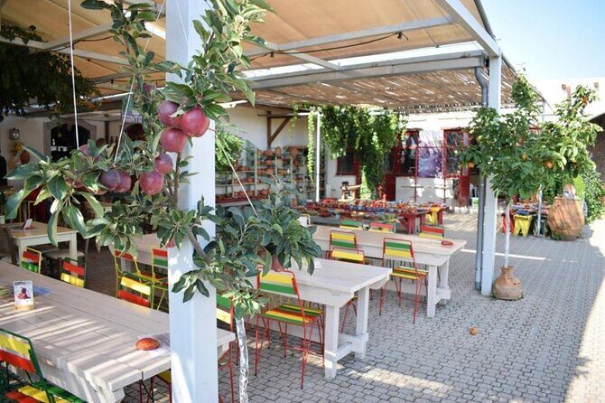 Family Excursion: From Sea Wonders to Mythical Realms Adventure - Who Would This Tour Suit Best?