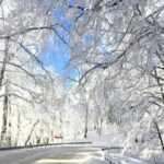 Family Half-Day Tour: Sabaduri, Georgian Chronicles, & Jvari - What Makes This Tour Stand Out